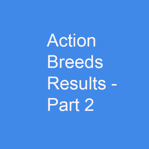 Action Breeds Results Part 2